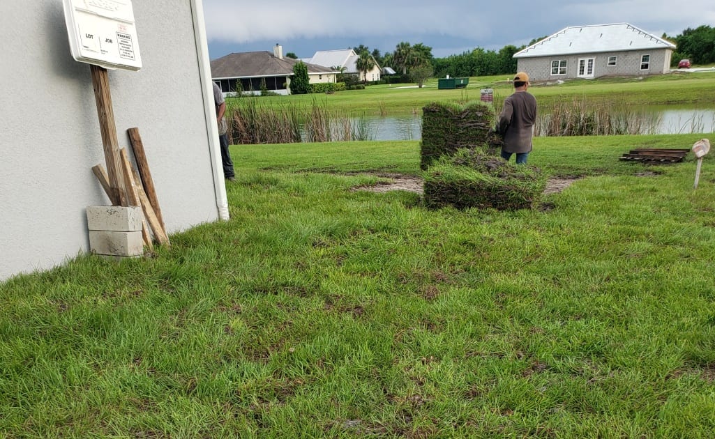 Sod Delivery & Installation